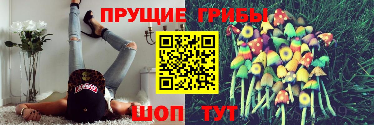 Псилоцибиновые грибы Magic Shrooms  Псилоцибиновые грибы GOLDEN TEACHER  Вход с VPN  Сарапул 