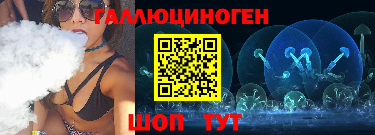 Псилоцибиновые грибы Psilocybine cubensis Сарапул